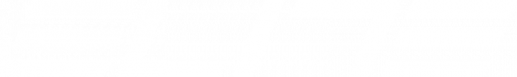 Elite